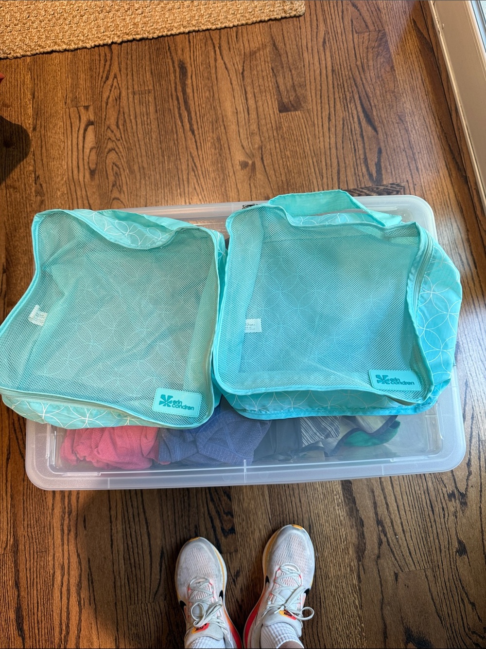 Erin Condren Teal Mesh Packing Cubes - Set of 2